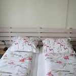 Heijendaal 奈梅亨